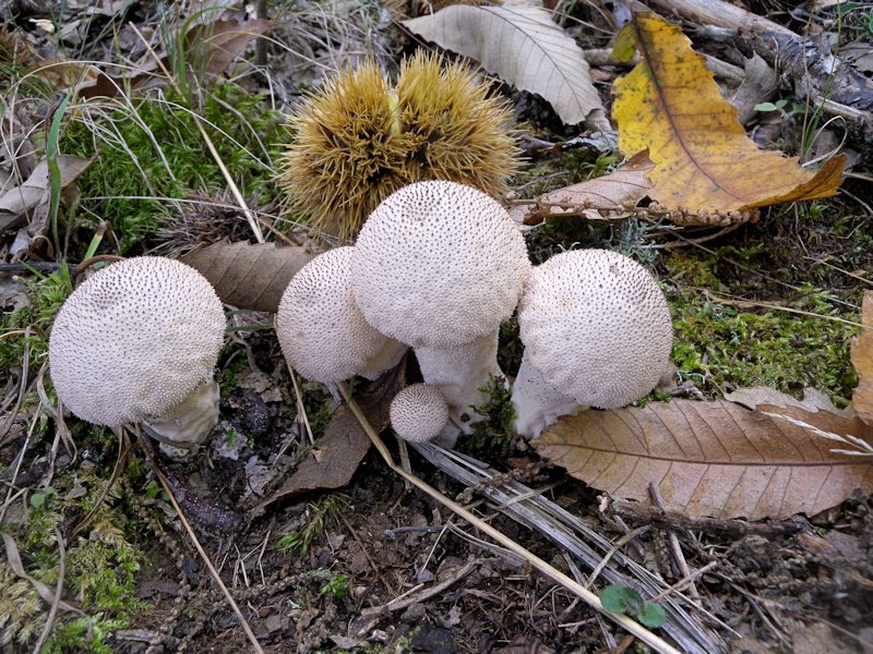 Forse l''ultima bellissima giornata..!!